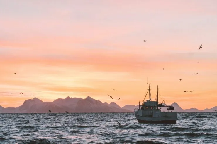 Fisheries. Sunset, ship fishing